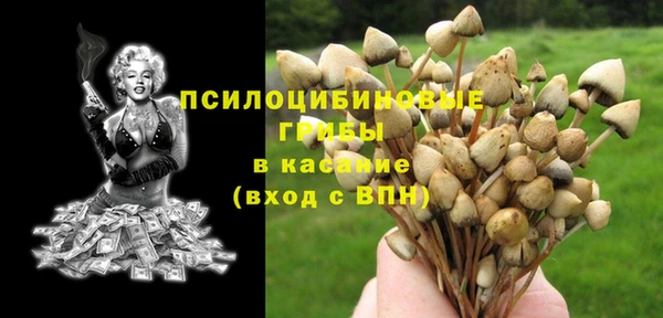 соль ск Вязники