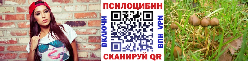 Псилоцибиновые грибы MAGIC MUSHROOMS  где купить   Ессентукская 